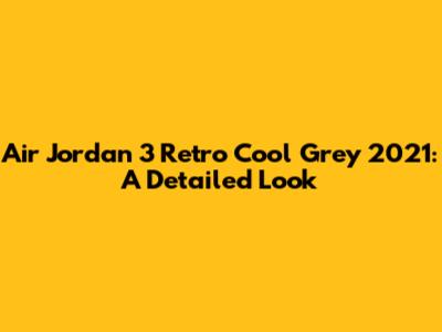 Air Jordan 3 Retro Cool Grey 2021: A Detailed Look