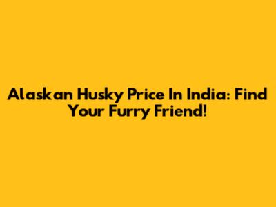 Alaskan Husky Price In India: Find Your Furry Friend!