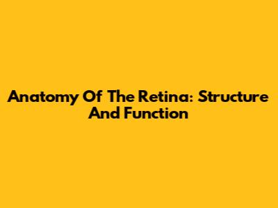 Anatomy Of The Retina: Structure And Function