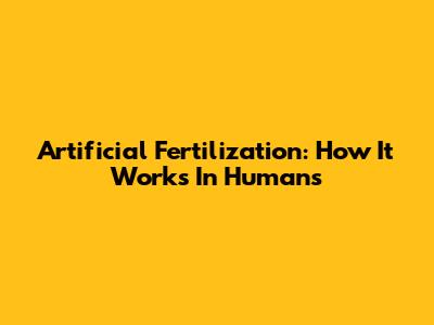 Artificial Fertilization: How It Works In Humans