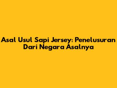 Asal Usul Sapi Jersey: Penelusuran Dari Negara Asalnya