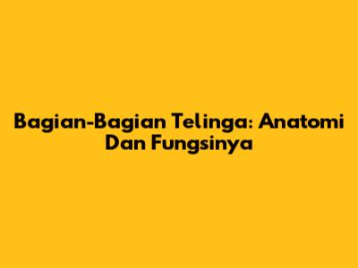 Bagian-Bagian Telinga: Anatomi Dan Fungsinya