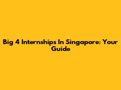 Big 4 Internships In Singapore: Your Guide