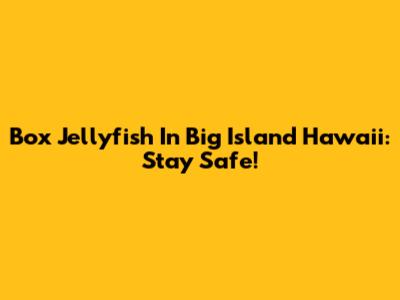 Box Jellyfish In Big Island Hawaii: Stay Safe!
