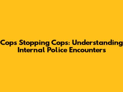 Cops Stopping Cops: Understanding Internal Police Encounters