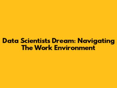 Data Scientist's Dream: Navigating The Work Environment