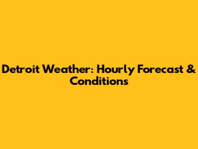Detroit Weather: Hourly Forecast & Conditions