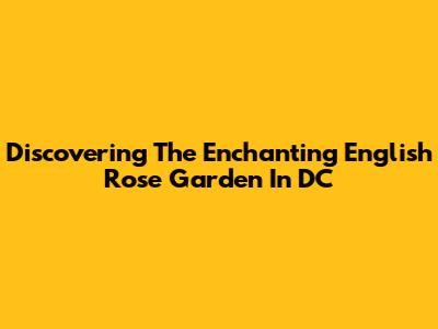Discovering The Enchanting English Rose Garden In DC