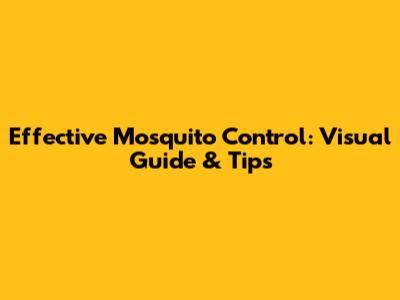 Effective Mosquito Control: Visual Guide & Tips