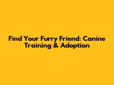 Find Your Furry Friend: Canine Training & Adoption