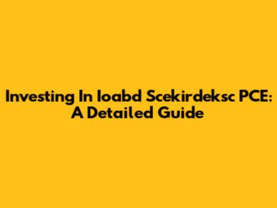Investing In Ioabd Scekirdeksc PCE: A Detailed Guide