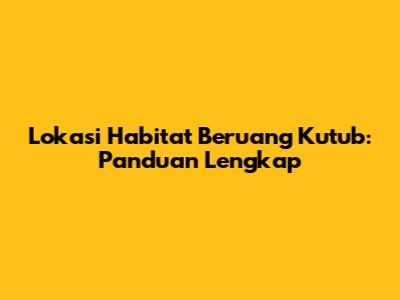 Lokasi Habitat Beruang Kutub: Panduan Lengkap