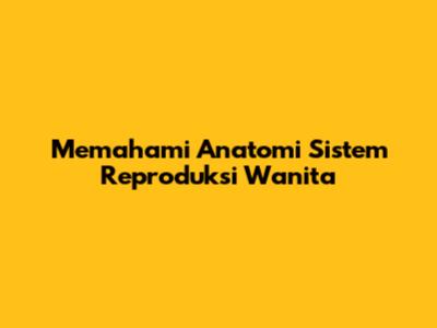 Memahami Anatomi Sistem Reproduksi Wanita