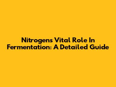 Nitrogen's Vital Role In Fermentation: A Detailed Guide
