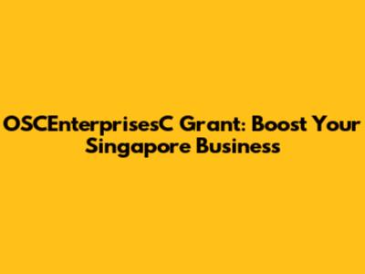 OSCEnterprisesC Grant: Boost Your Singapore Business
