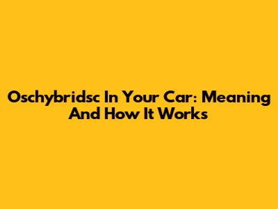 Oschybridsc In Your Car: Meaning And How It Works