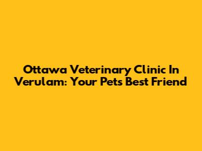 Ottawa Veterinary Clinic In Verulam: Your Pet's Best Friend