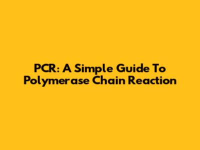 PCR: A Simple Guide To Polymerase Chain Reaction