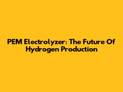 PEM Electrolyzer: The Future Of Hydrogen Production