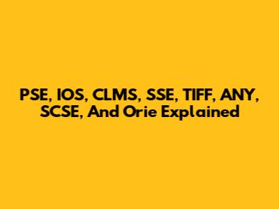 PSE, IOS, CLMS, SSE, TIFF, ANY, SCSE, And Orie Explained
