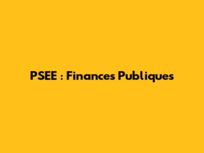 PSEE : Finances Publiques