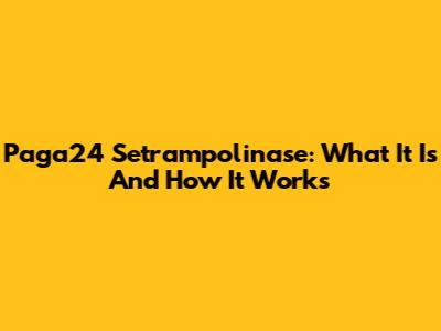 Paga24 Setrampolinase: What It Is And How It Works