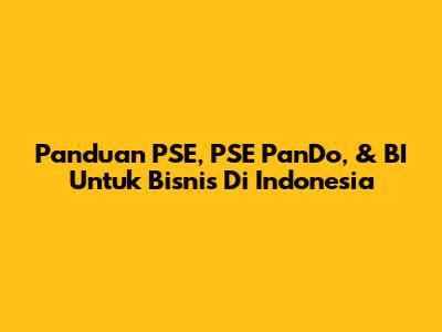Panduan PSE, PSE PanDo, & BI Untuk Bisnis Di Indonesia