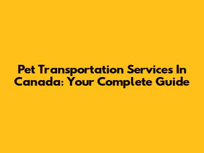 Pet Transportation Services In Canada: Your Complete Guide