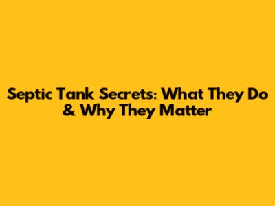Septic Tank Secrets: What They Do & Why They Matter