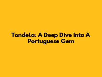 Tondela: A Deep Dive Into A Portuguese Gem