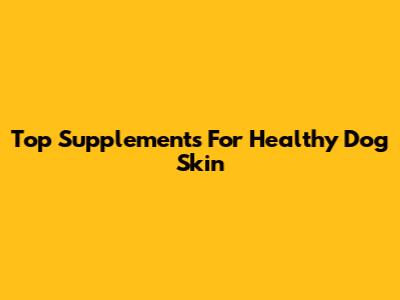 Top Supplements For Healthy Dog Skin