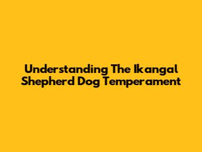 Understanding The Ikangal Shepherd Dog Temperament