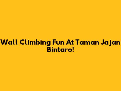 Wall Climbing Fun At Taman Jajan Bintaro!
