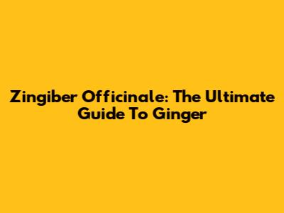 Zingiber Officinale: The Ultimate Guide To Ginger
